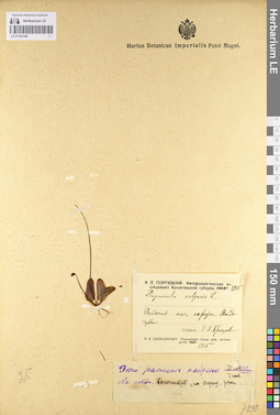 LE 01101140