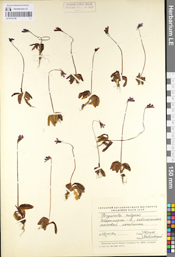 LE 01101156