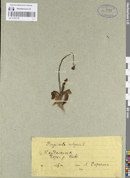 LE 01101176
