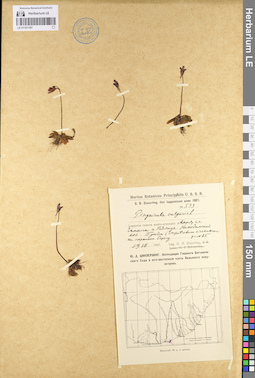 LE 01101187