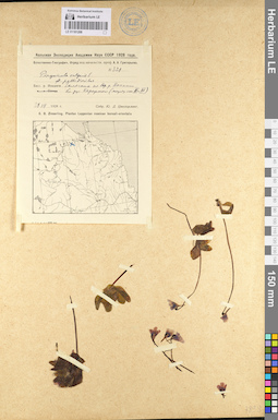 LE 01101208