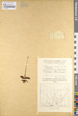 LE 01101212