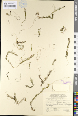 LE 01101225