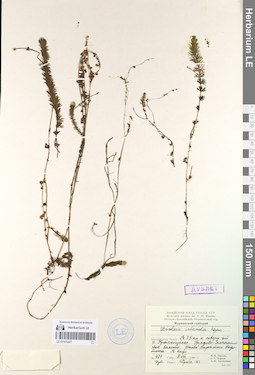 LE 01101227