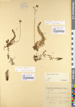 LE 01101230