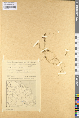 LE 01101236