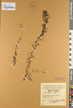 LE 01101245