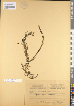 LE 01101246