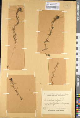 LE 01101248