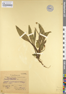 LE 01101255