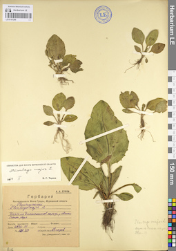 LE 01101269