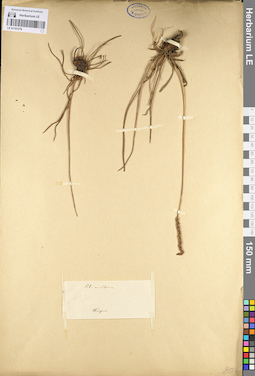 LE 01101278