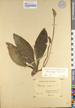 LE 01101298