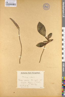 LE 01101307