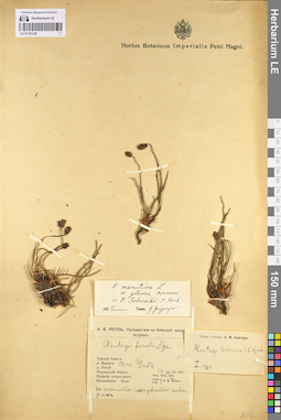 LE 01101328