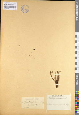 LE 01101329