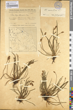 LE 01101366