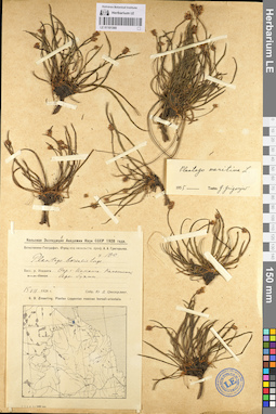 LE 01101368