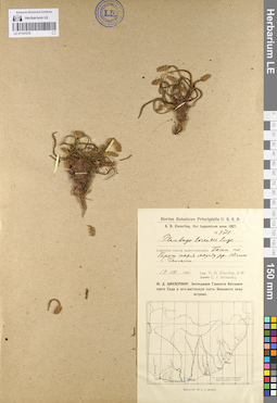 LE 01101370