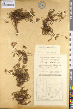 LE 01101371