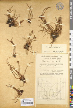 LE 01101373