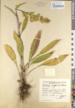 LE 01102196
