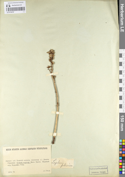 LE 01102197
