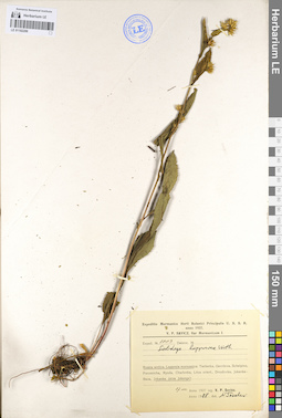 LE 01102209