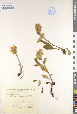 LE 01102235