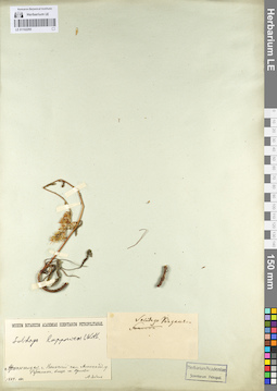 LE 01102295