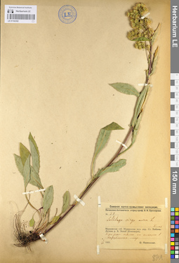 LE 01102352