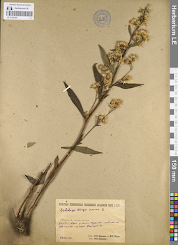 LE 01102353