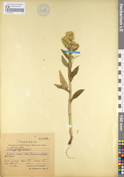LE 01102363