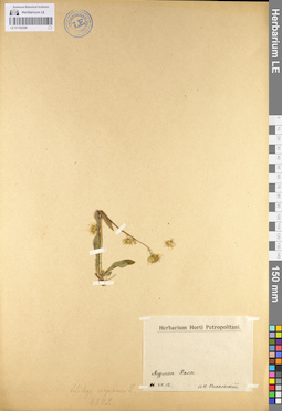 LE 01102366