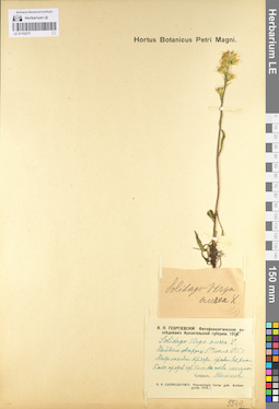 LE 01102371