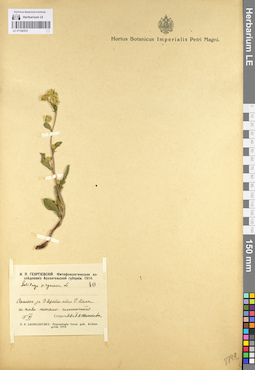 LE 01102372