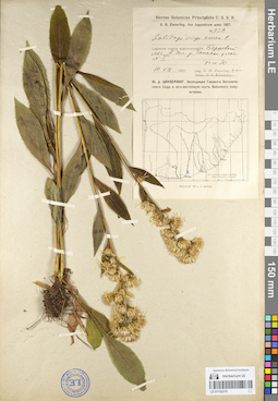 LE 01102379