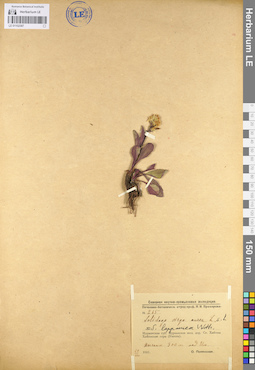 LE 01102387