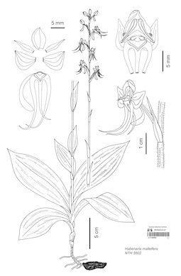 LE 01089656