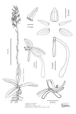 LE 01089659