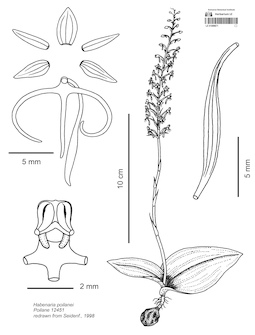 LE 01089671