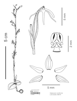 LE 01089674