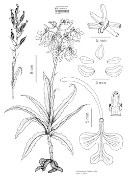 LE 01089675