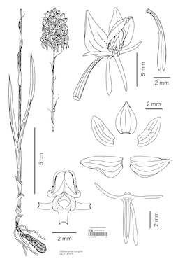 LE 01089695