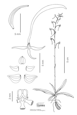 LE 01089705