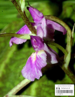 LE 01089714