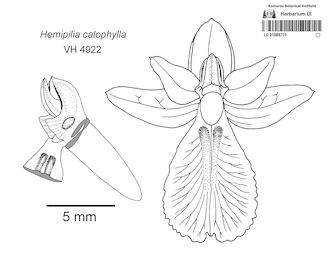 LE 01089715