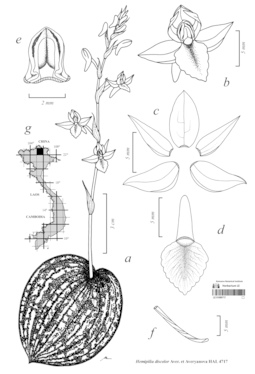 LE 01089717
