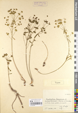 LE 01057265