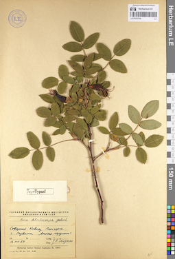 LE 01072154